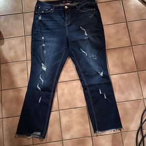 Blue Desize size 20 high waist jeans